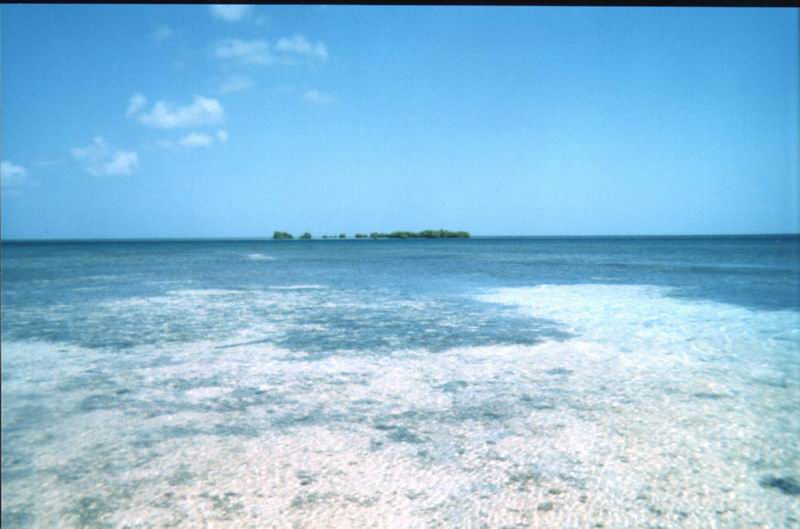 Mangrove Ilet Labiche