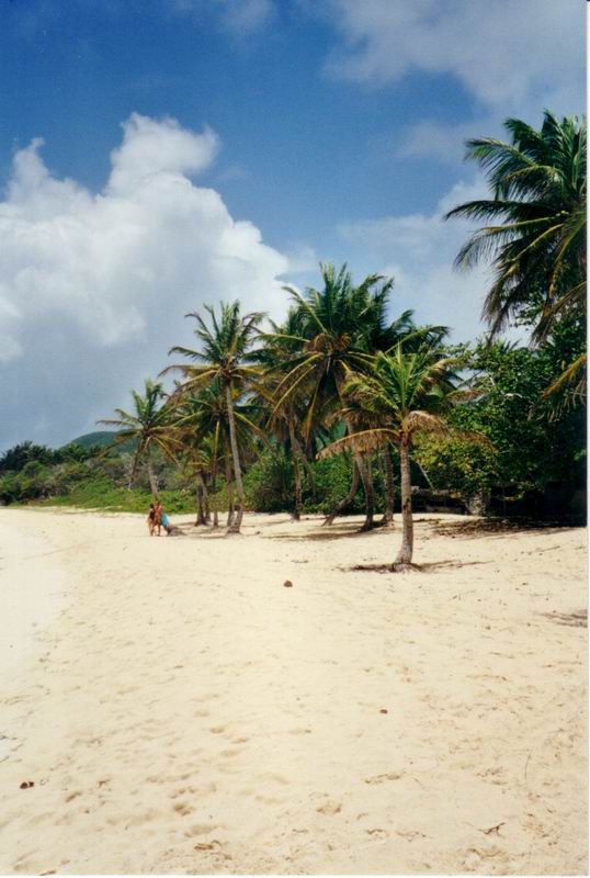Plage de Guadeloupe