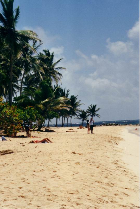 Une plage de sable blanc  Marie-Galante
