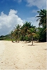 Plage de Guadeloupe