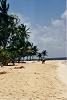 Une plage de sable blanc  Marie-Galante
