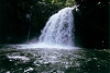 60 cascade