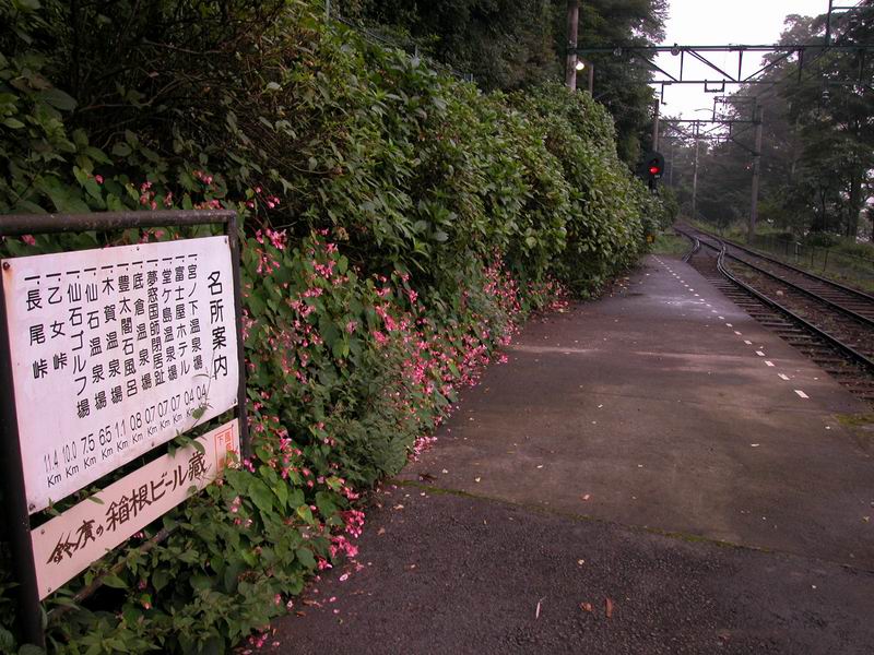 2003 DSCN6844 Hakone