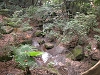 2003 DSCN6574 Tokyo