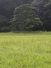 2003 DSCN6615 Tokyo