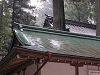 2003 DSCN6712 Nikko