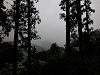 2003 DSCN6848 Hakone