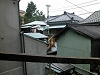 2003 DSCN6856 Hakone