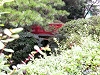 2003 DSCN6858 Hakone