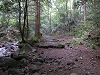 2003 DSCN6960 Hakone