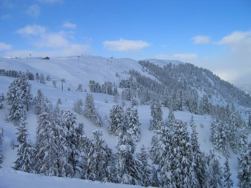 Montagnes enneiges avec une fort de sapins