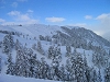 Montagnes enneiges avec une fort de sapins