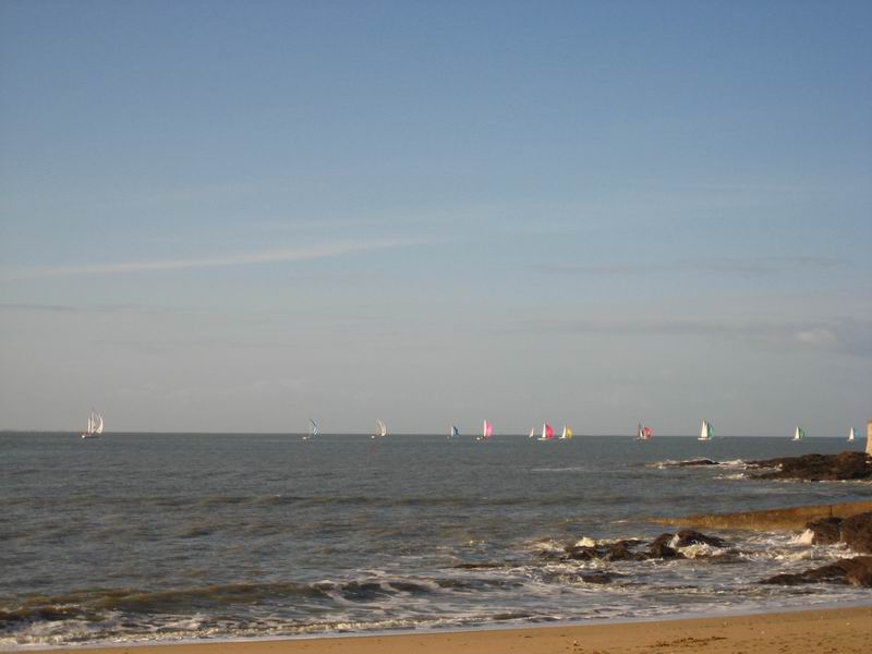 Bord de mer bateaux  voile