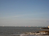 Pornic bord de mer bateaux a voile