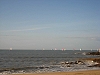 Bord de mer bateaux  voile