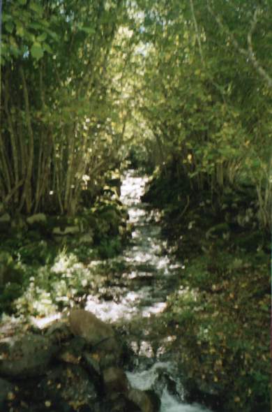 Paysage rivire