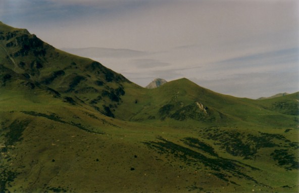 Paysage montagne prairie