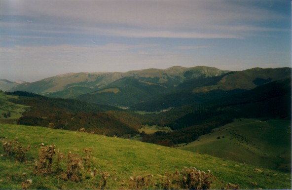 Paysage montagne prairie