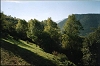 Pyrennes paysage