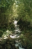 Paysage rivire