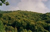 Paysage