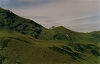 Paysage montagne prairie