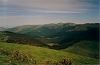 Paysage montagne prairie