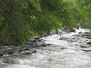 Rivire
